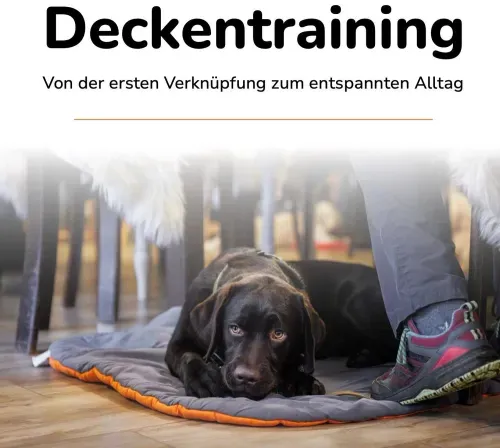 Der Imker holt einen Rahmen mit Honig aus dem Bienenstock.