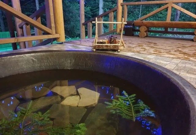 чани