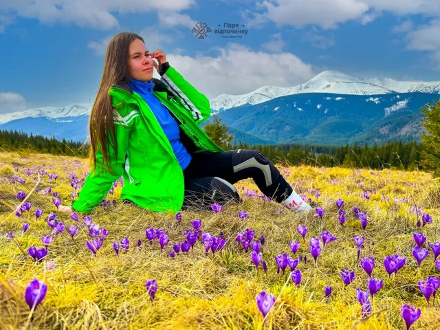крокуси кукул