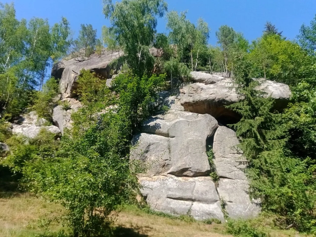 Терношори