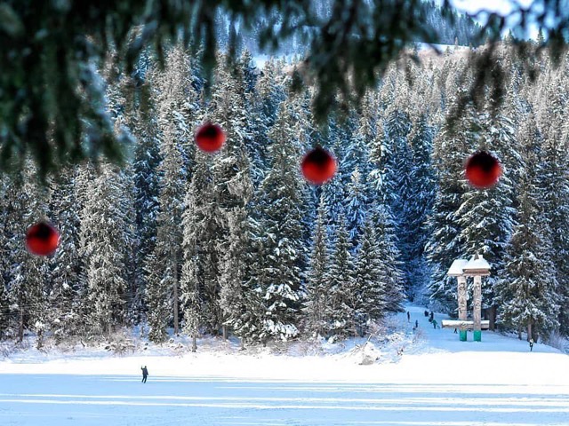 Буковель