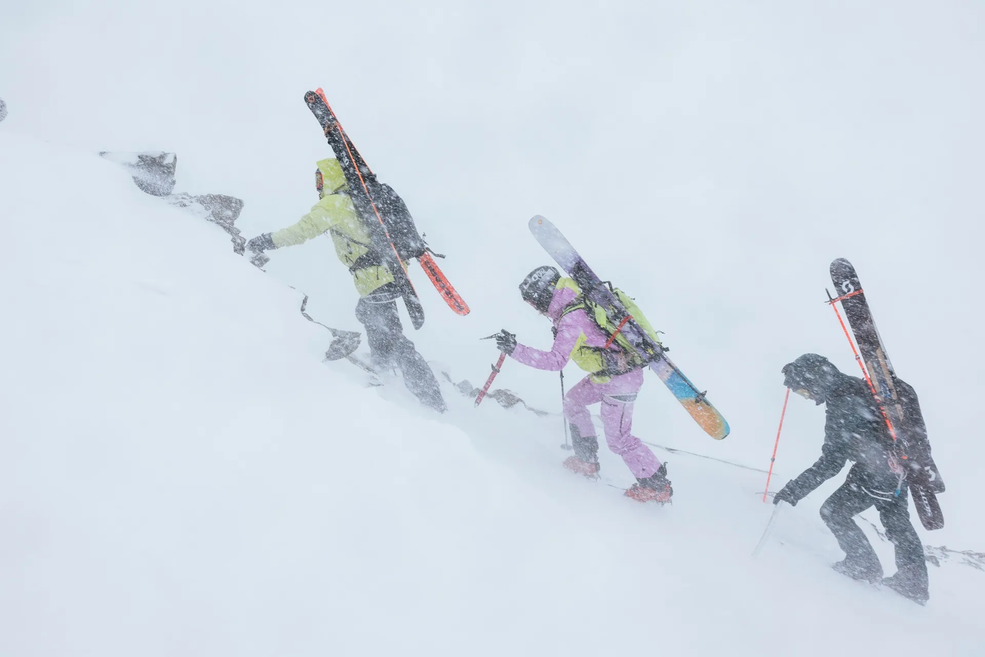 Picture Organic Clothing