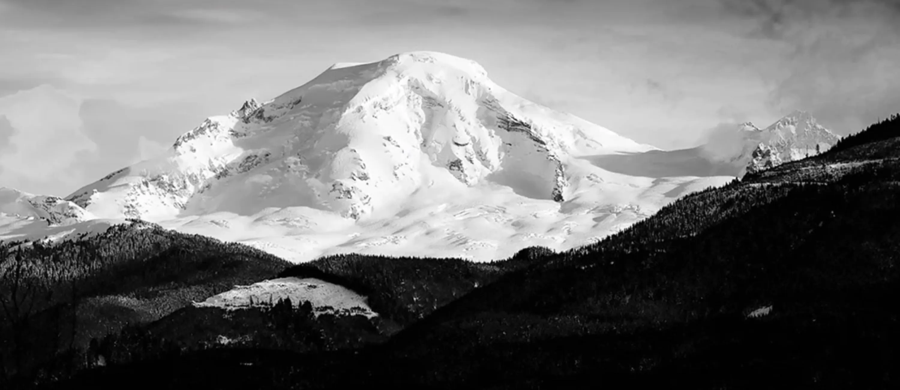 Rojo Distribution (Europe)