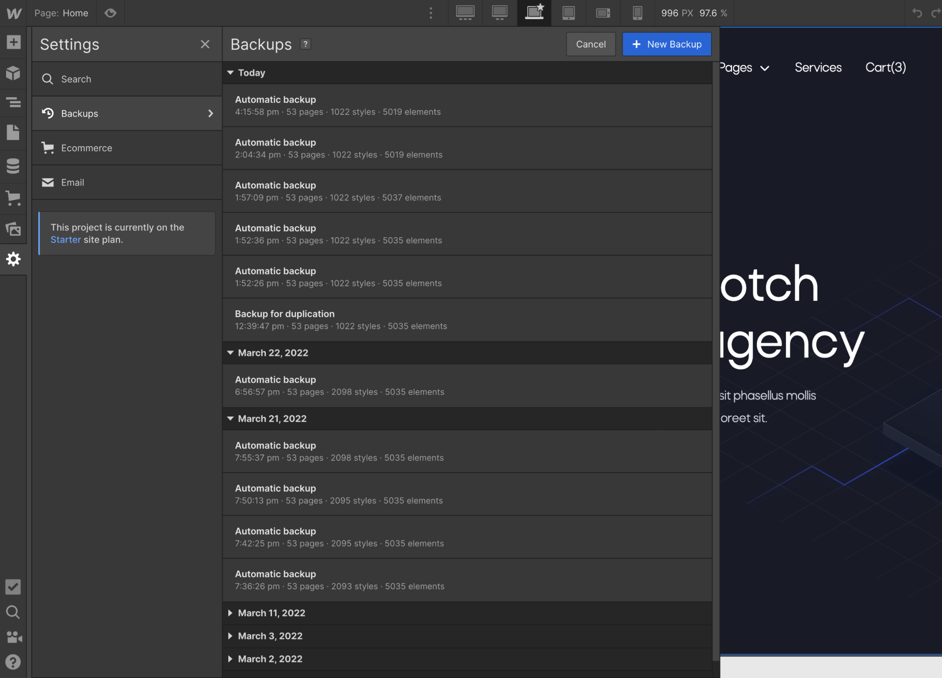 Backups - Dev X Webflow Template