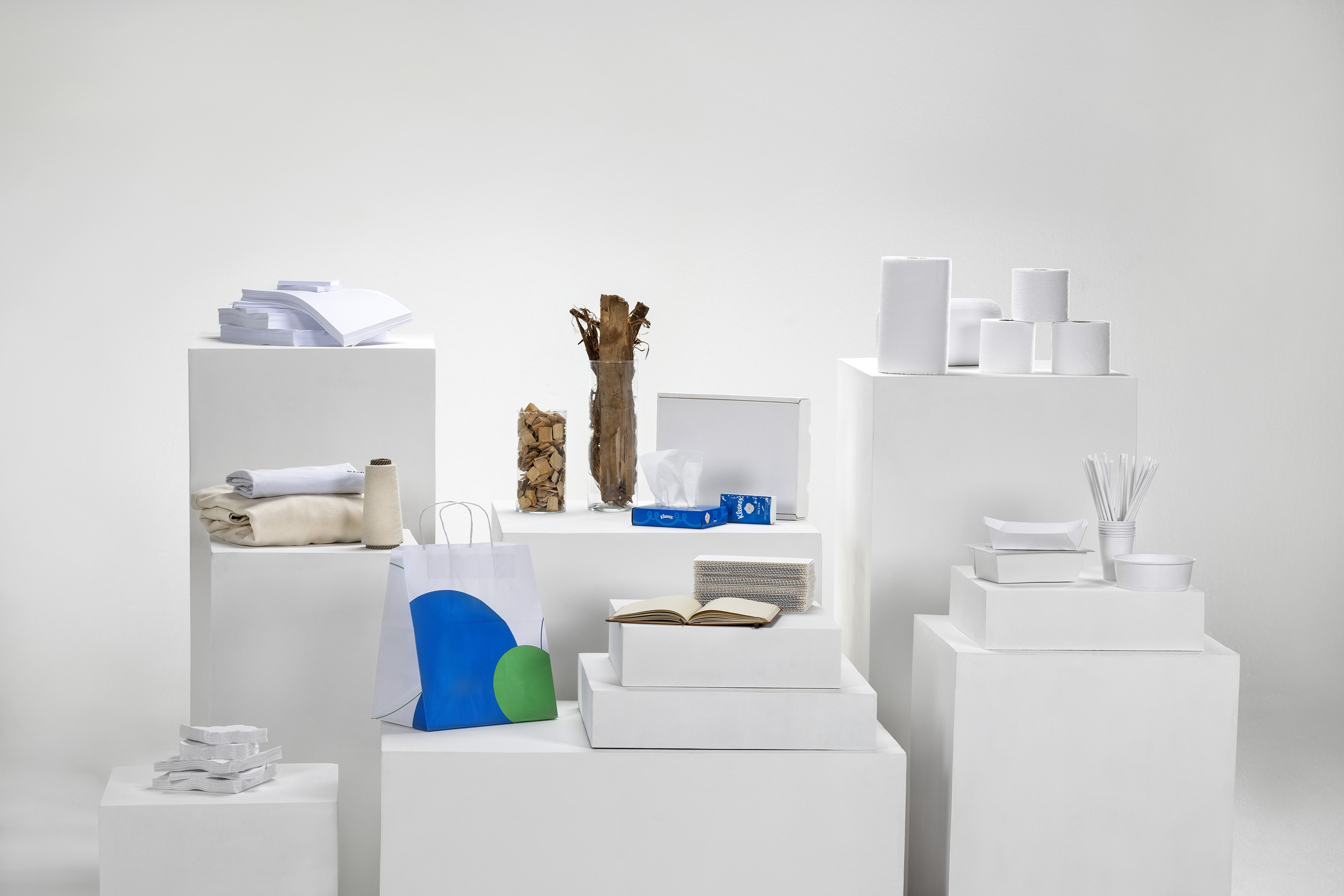 A foto mostra diversos produtos feitos com base na celulose, como livros, papel higiênico e até roupas.