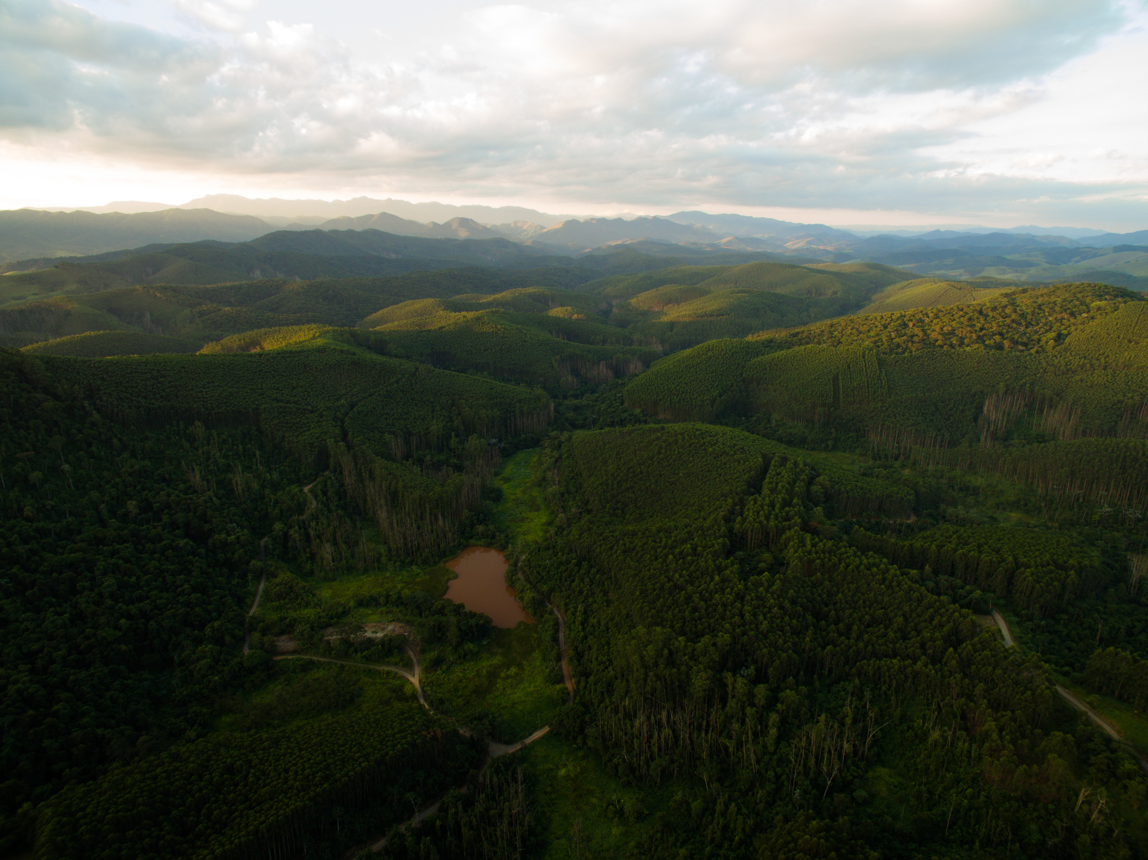 Suzano promove restauração ecológica em áreas nativas de Itararé e Itapeva (SP)