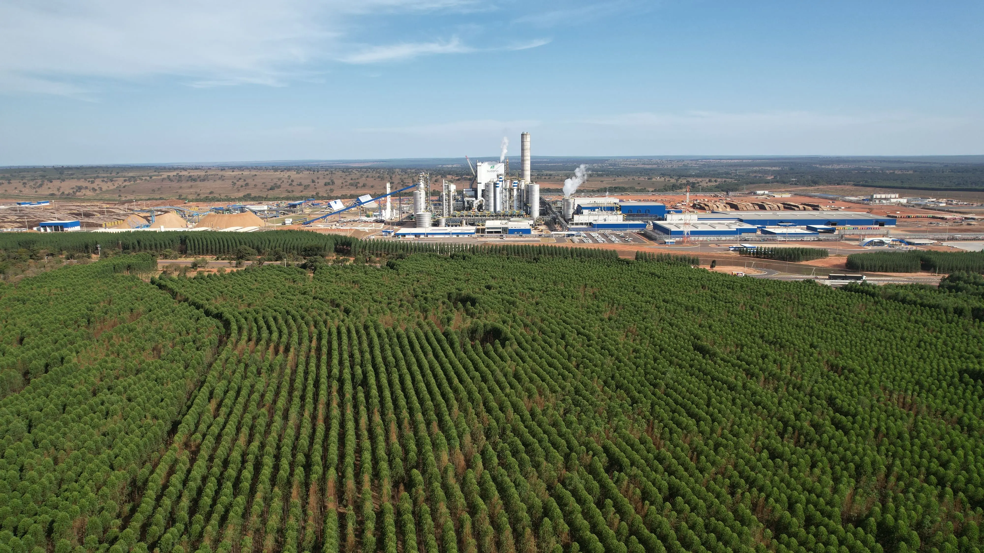 Com mais de R$ 300 milhões investidos no desenvolvimento de Ribas do Rio Pardo (MS), Suzano completa um ano de operações na cidade