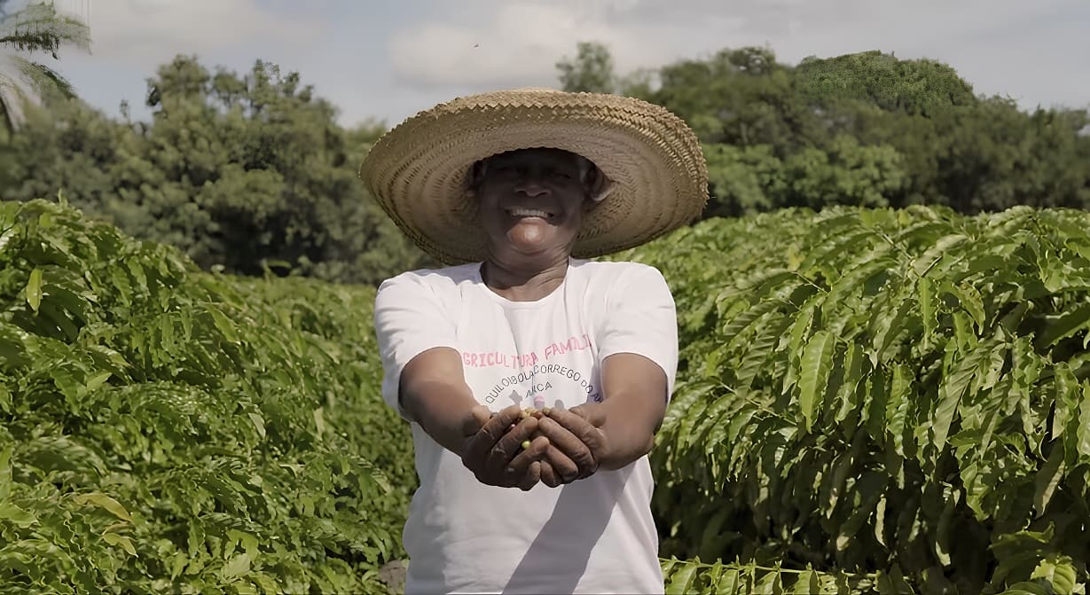 Projeto Quilombo do Café fortalece agricultura em comunidade de Conceição da Barra