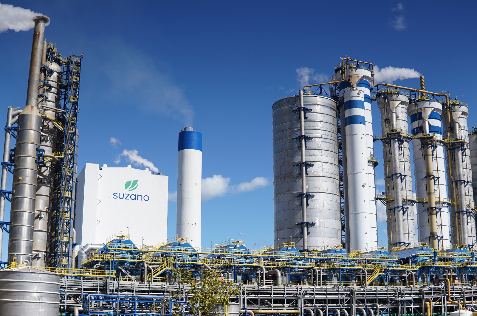 Suzano impulsiona empreendedorismo e consolida Ribas do Rio Pardo (MS) como polo de desenvolvimento