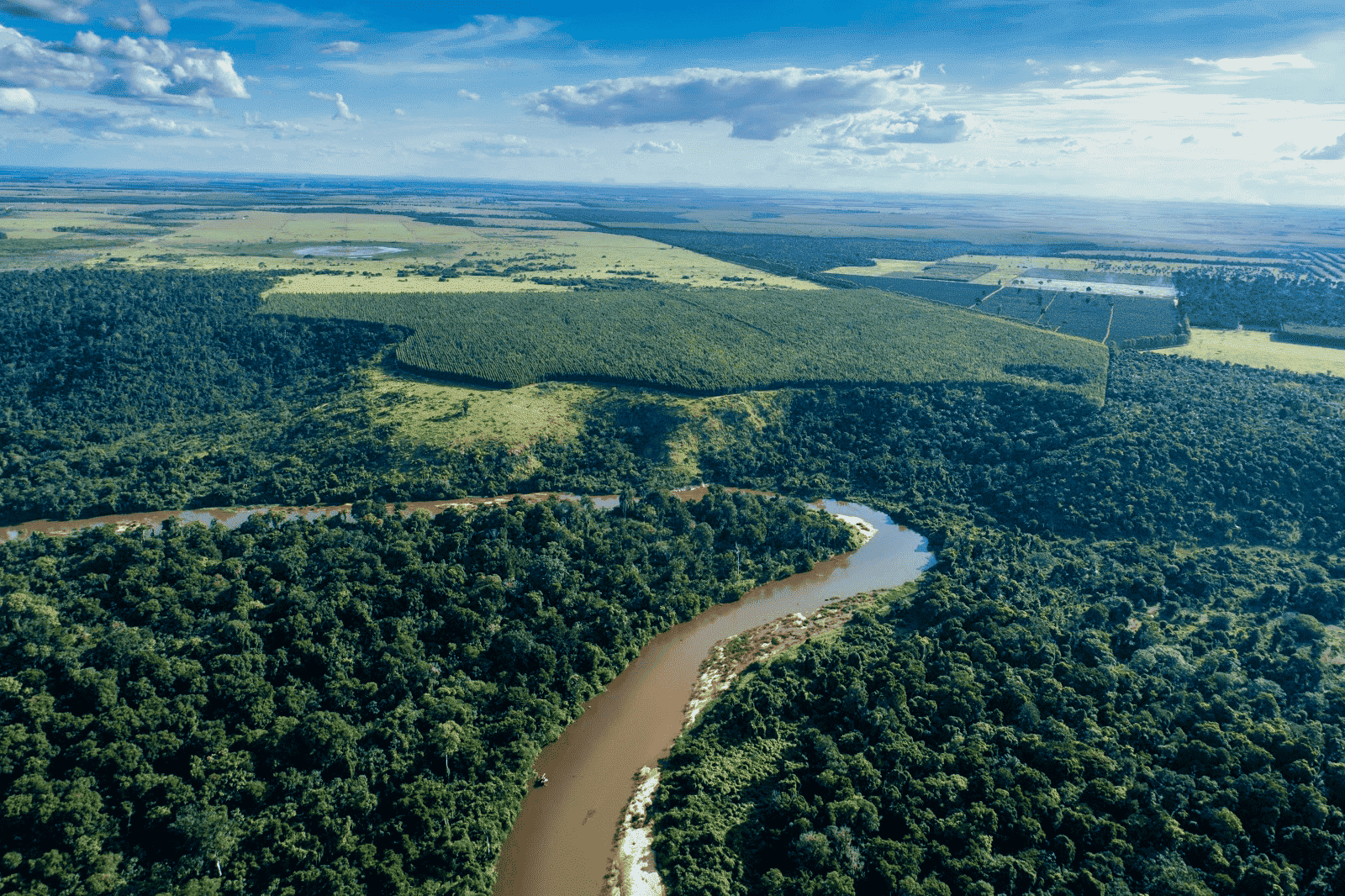 Suzano utiliza gravadores de som e DNA ambiental em iniciativa pioneira de monitoramento da biodiversidade em MS