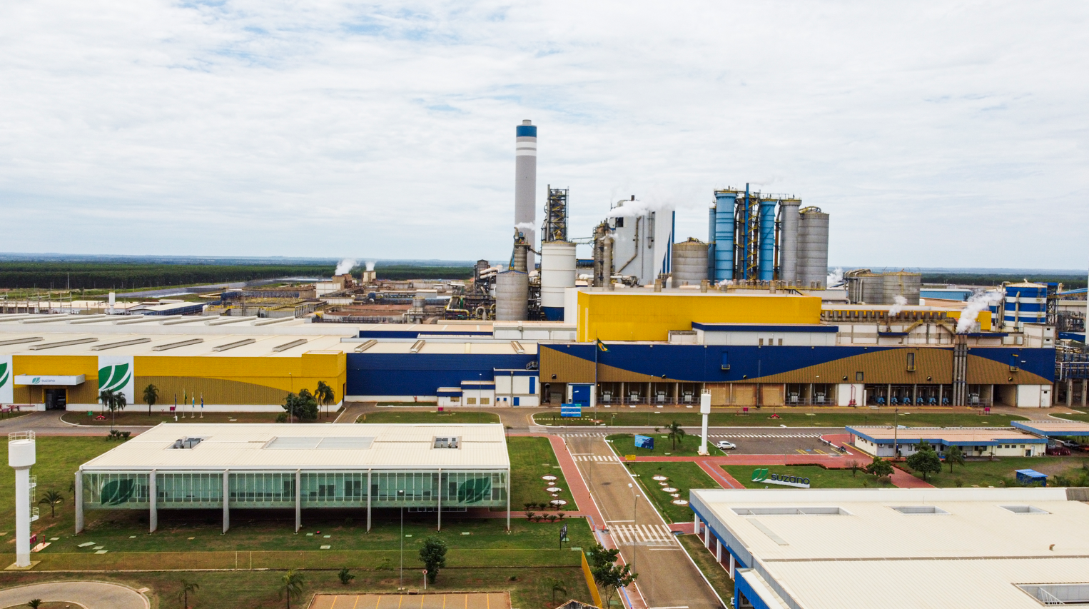 Suzano firma parceria com Galp e fábrica em Três Lagoas será abastecida via mercado livre de gás natural
