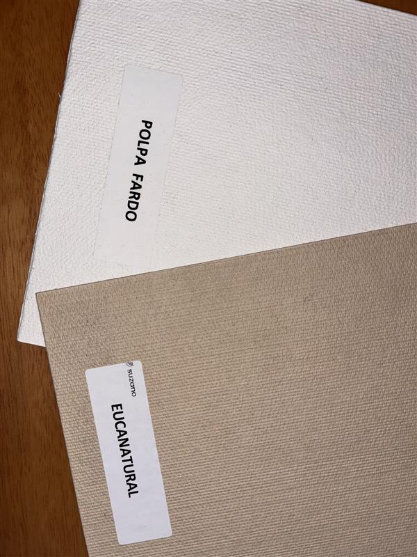 Suzano desenvolve o Eucanatural, celulose marrom de eucalipto para embalagens sustentáveis