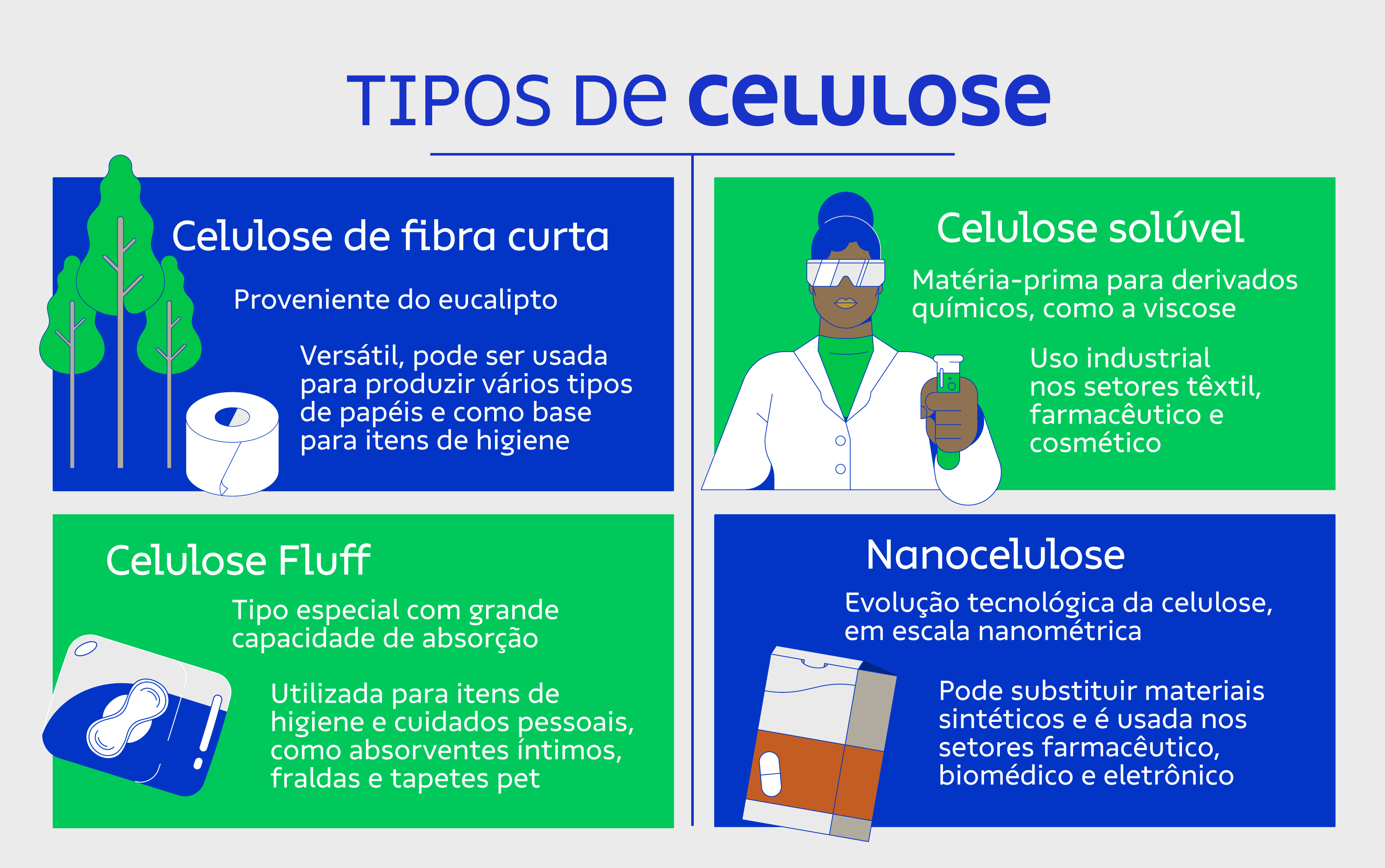 Imagem mostra quais são os tipos de celulose existentes 