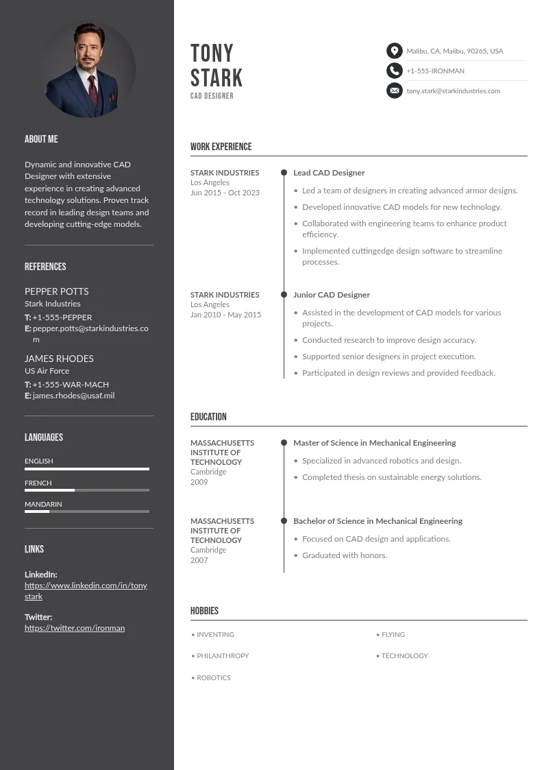 CAD Designer Resume downloadable