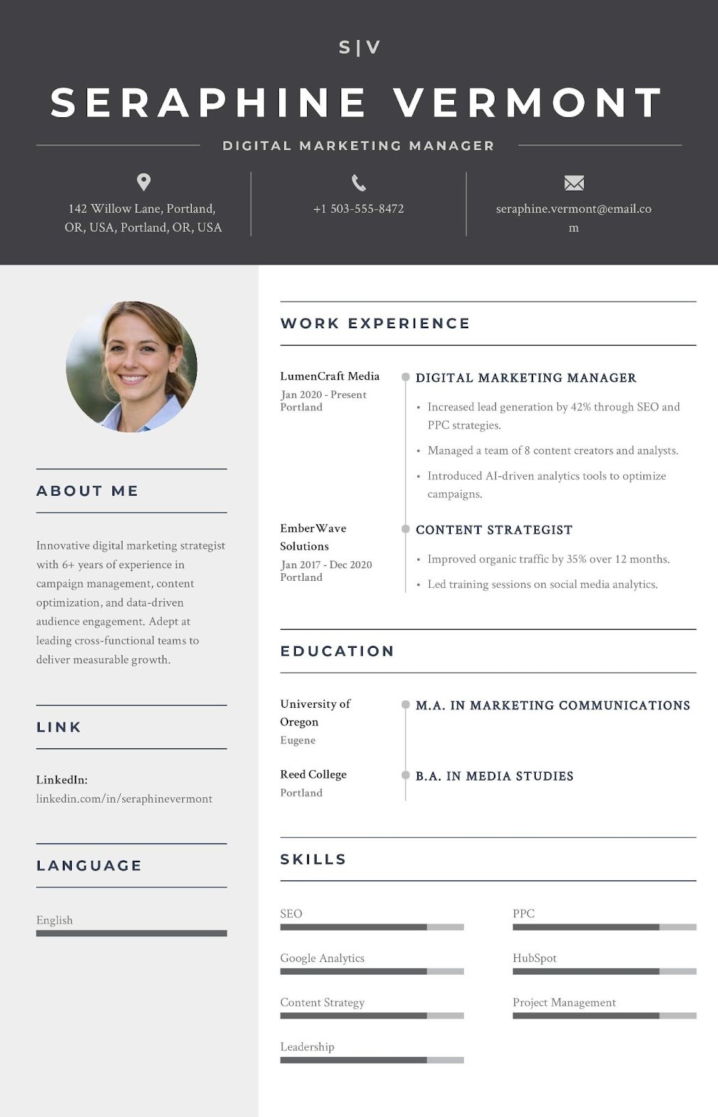 Professional CV in english