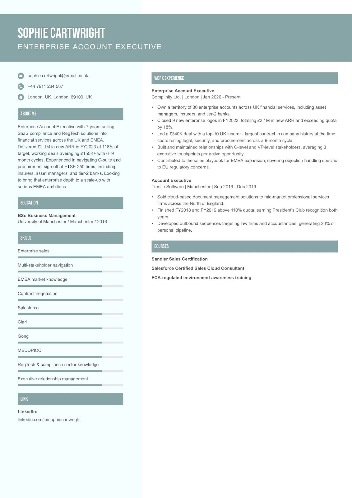 Enterprise AE resume example