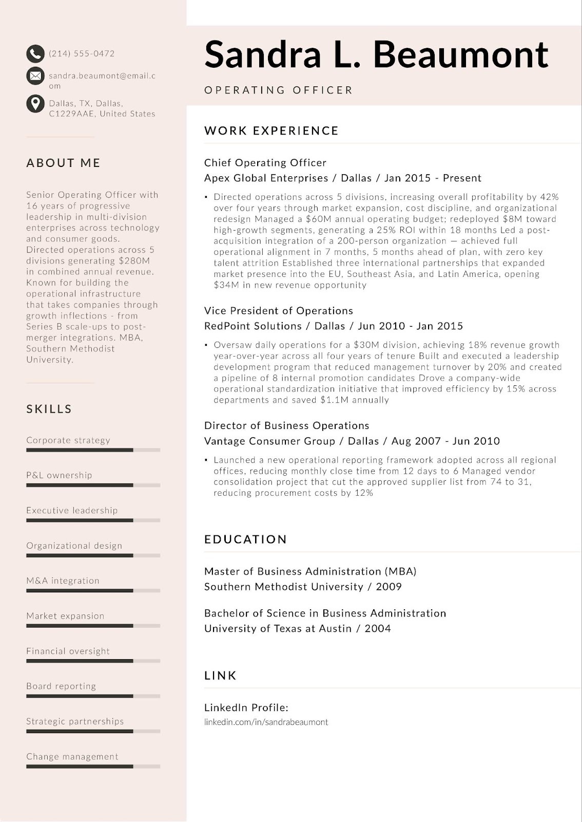 Business Executive / COO