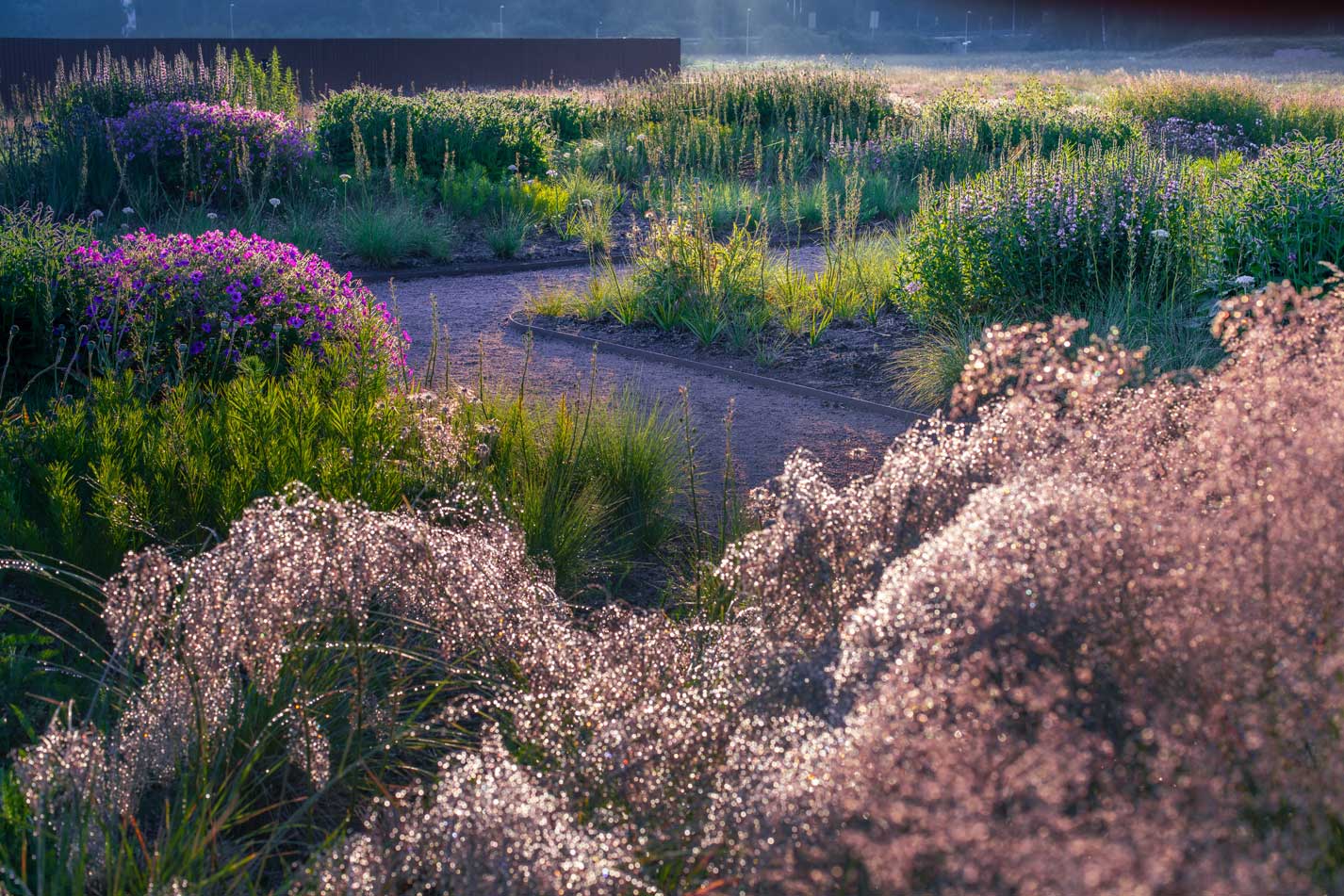 その他 Piet Oudolf Landscapes Piet Oudolf's Garden – Vandalorum