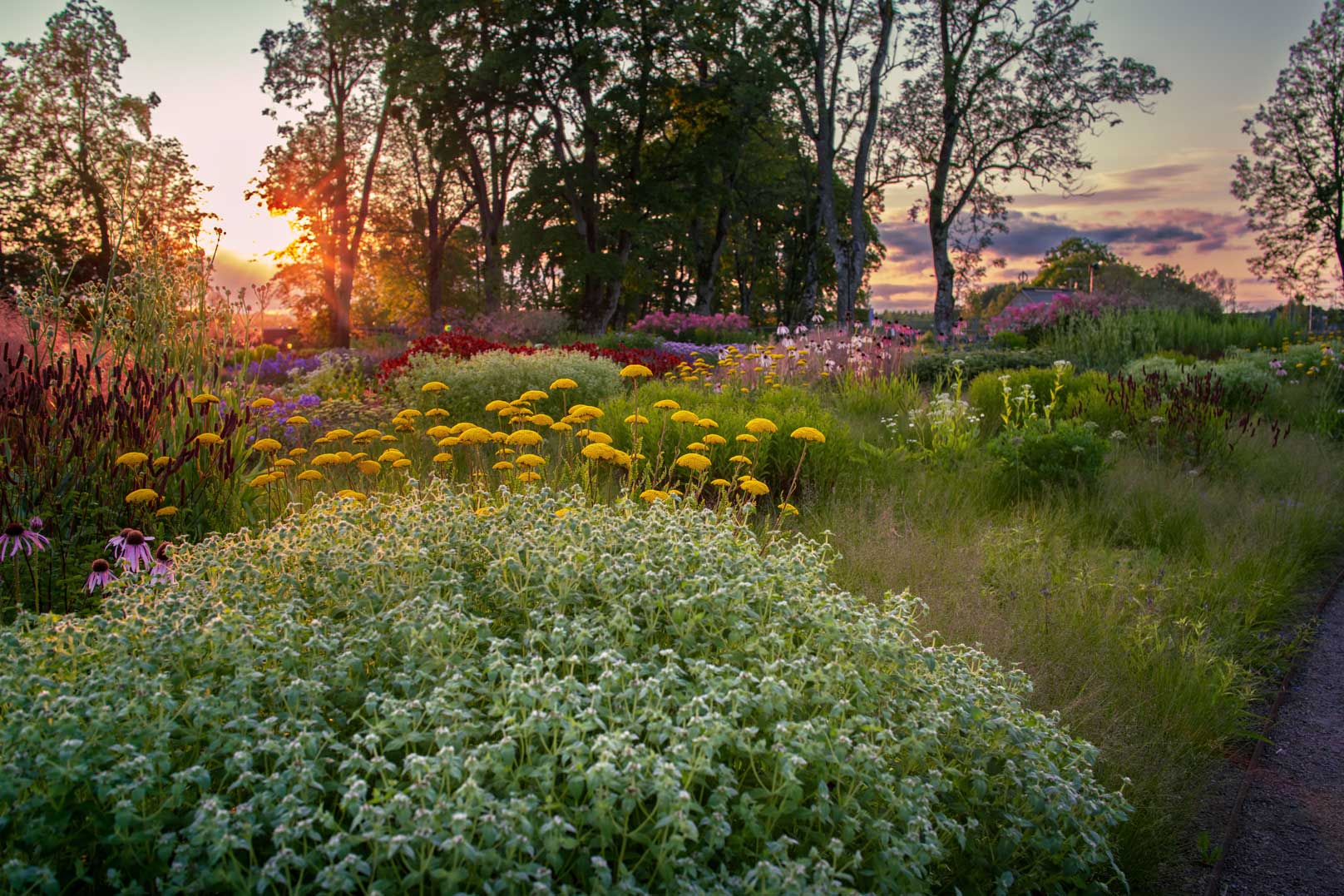 Piet Oudolf's Garden – Vandalorum