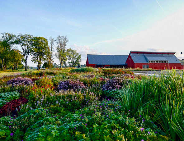 Bilden visar Piet Oudolfs trädgård vid Vandalorum