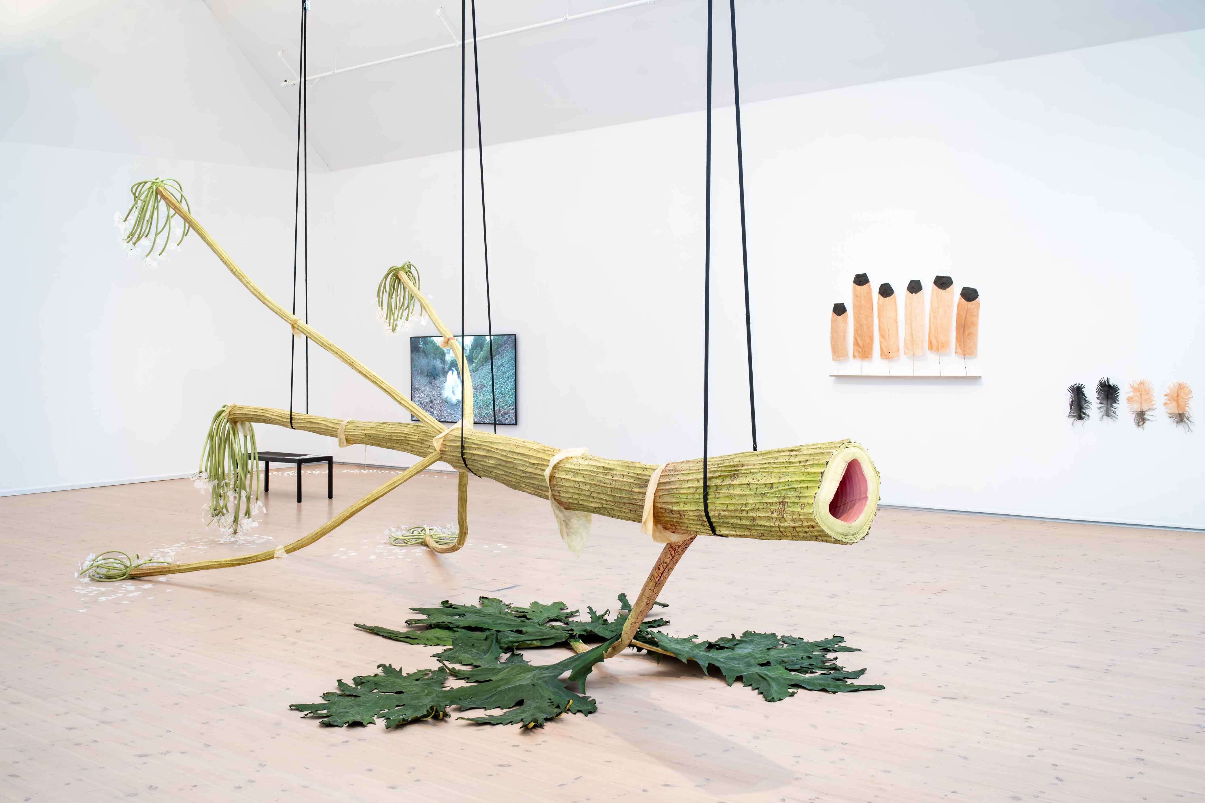 The photo showIngela Ihrmans exhibition.