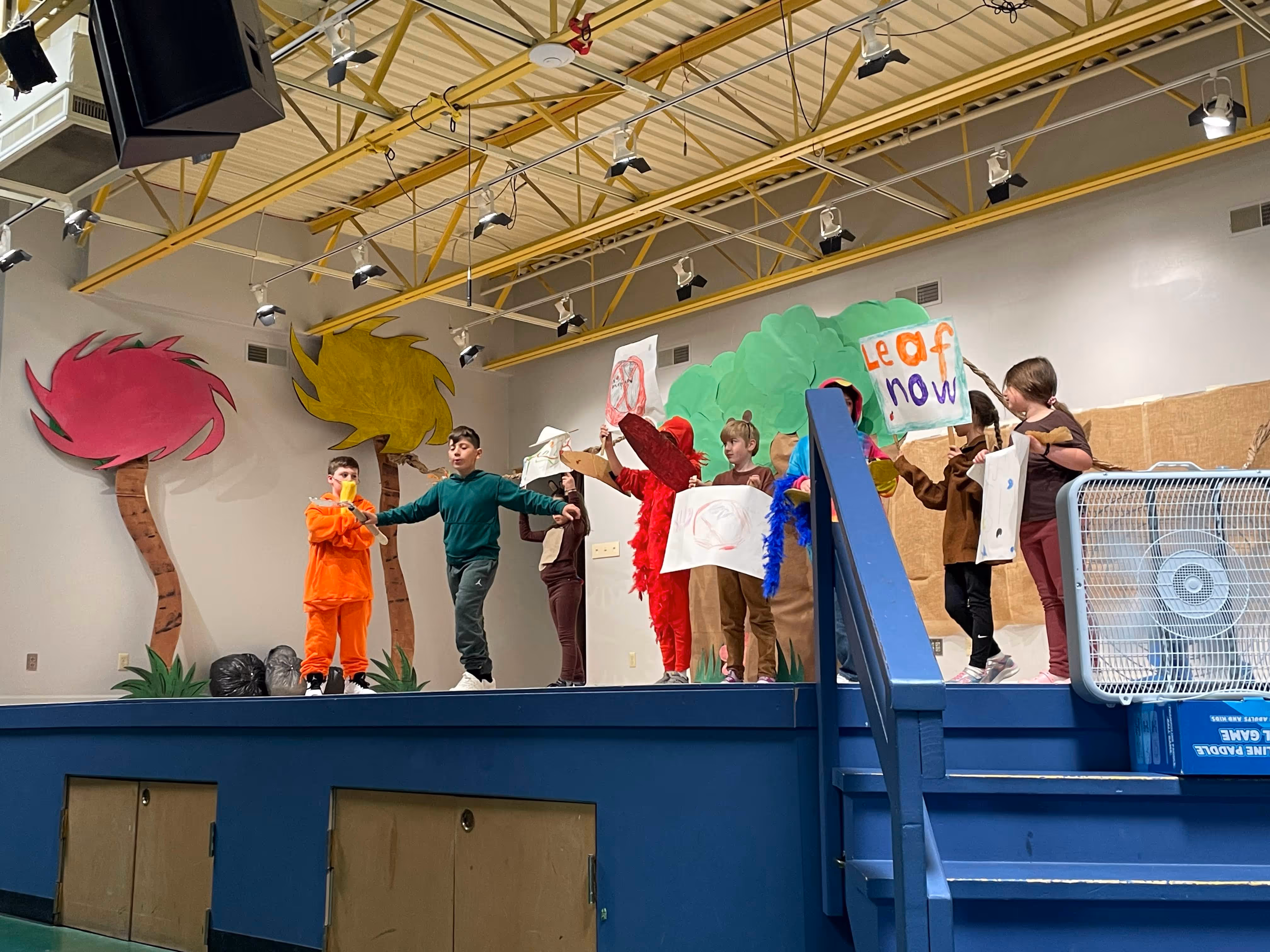 fox-valley-montessori-school-gym-performance-by-students