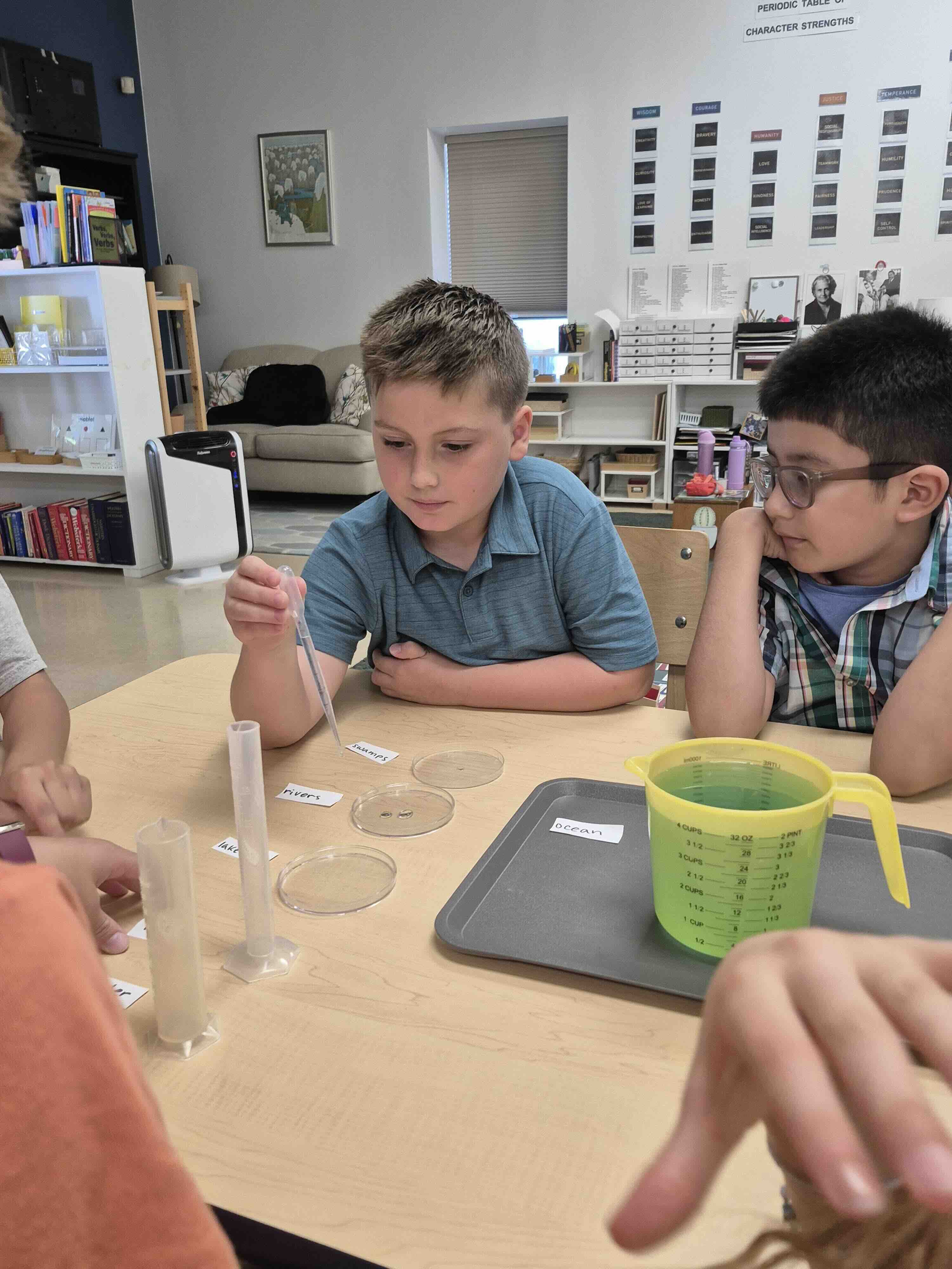 fox-valley-montessori-school-elementary-students-working-with-science