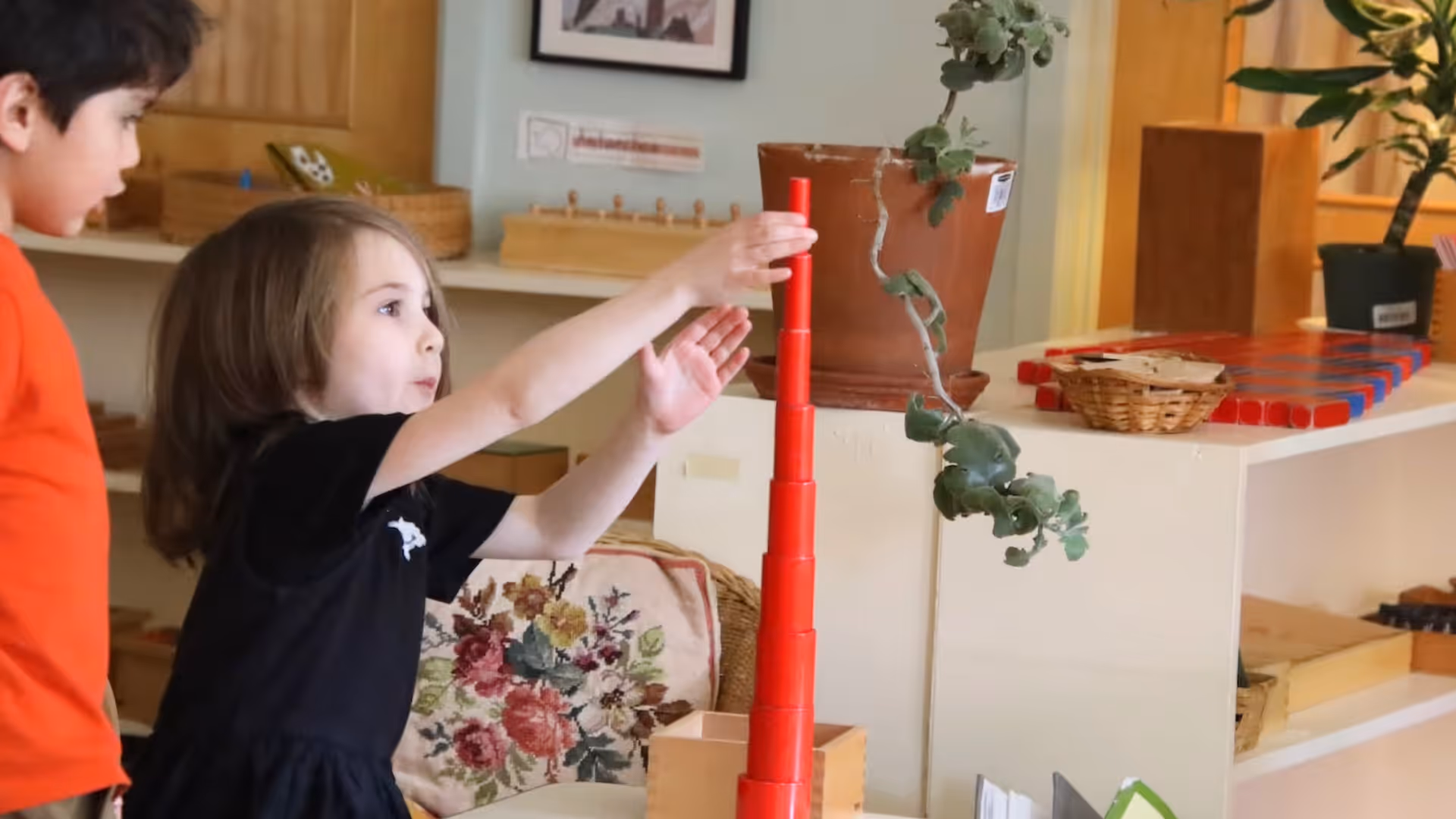 fox-valley-montessori-school-enrollment-options