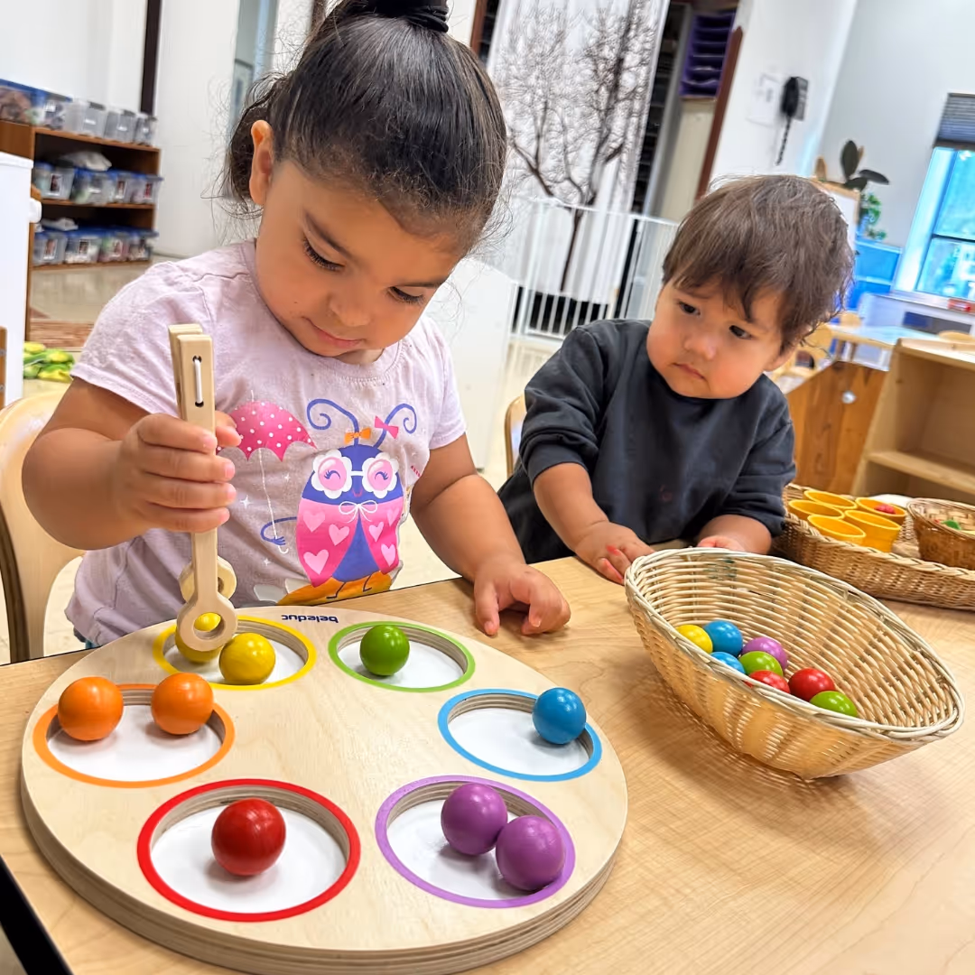fox-valley-montessori-school-highlight-2