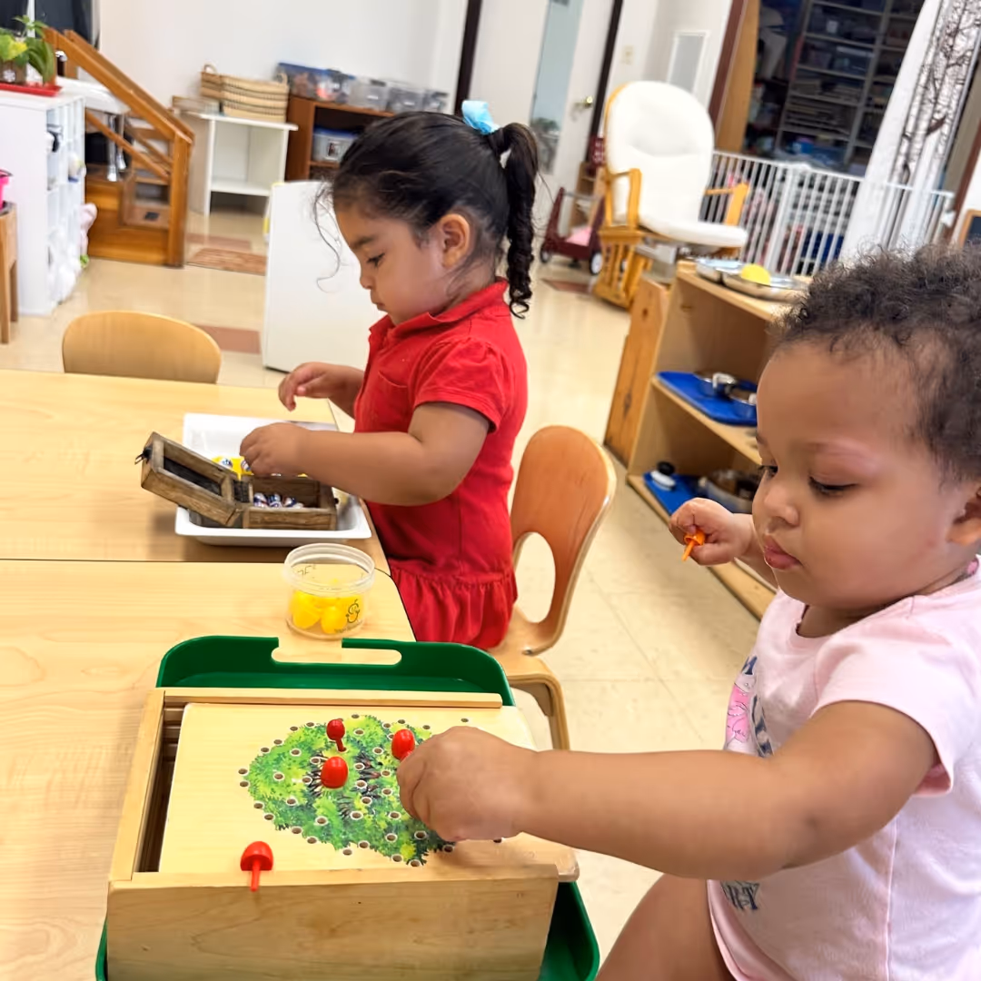 fox-valley-montessori-school-highlight-8
