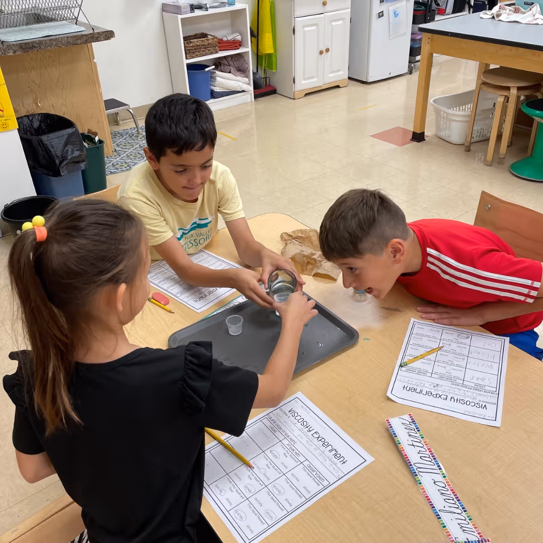 fox-valley-montessori-school-highlight-7