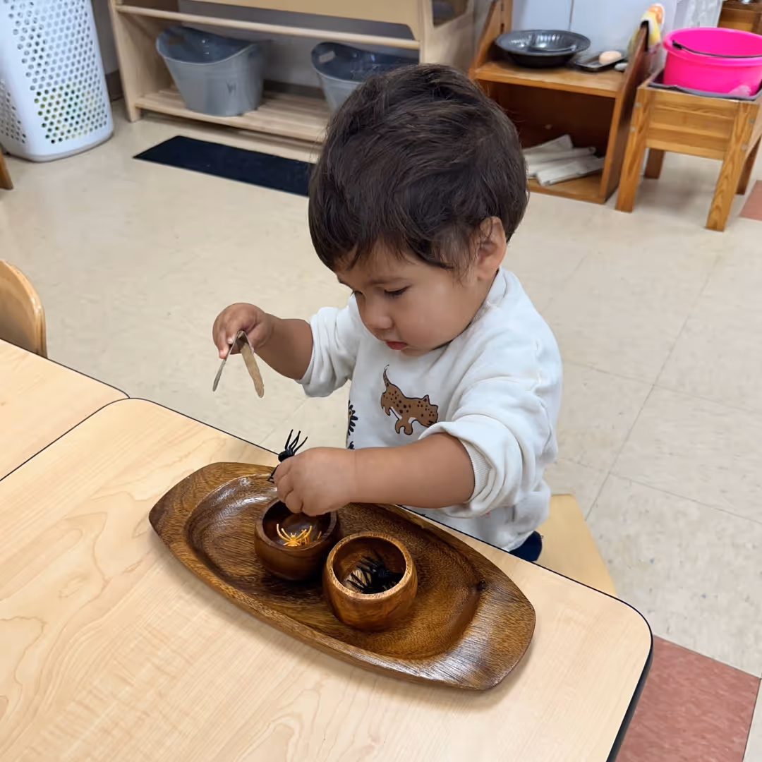 fox-valley-montessori-school-highlight-18