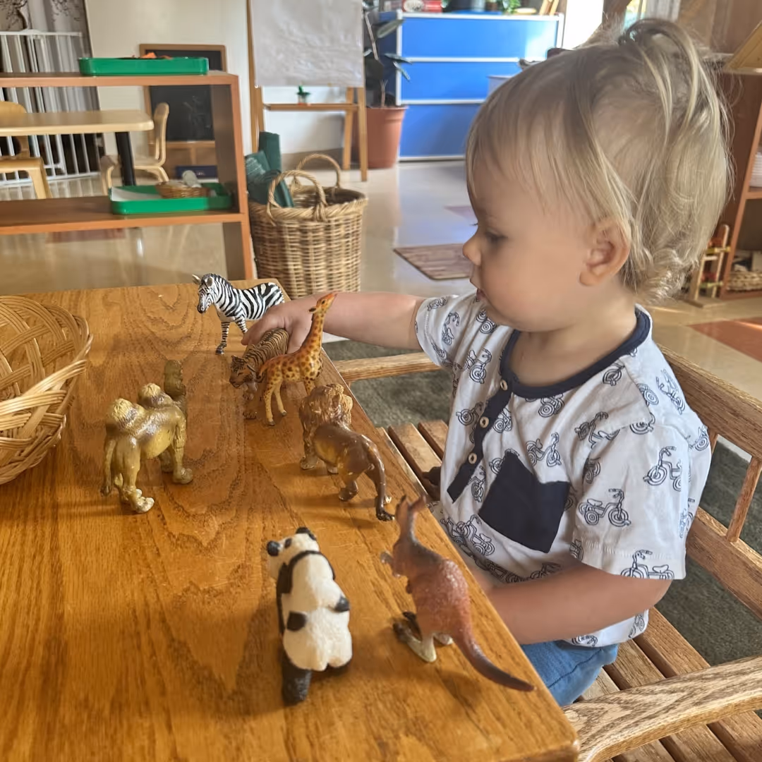 fox-valley-montessori-school-highlight-16