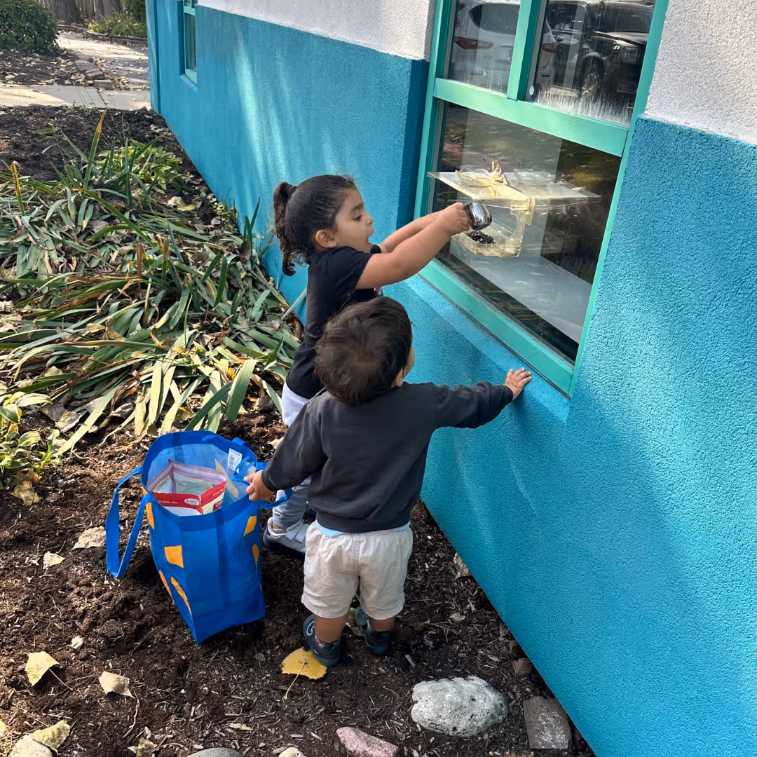 fox-valley-montessori-school-highlight-15