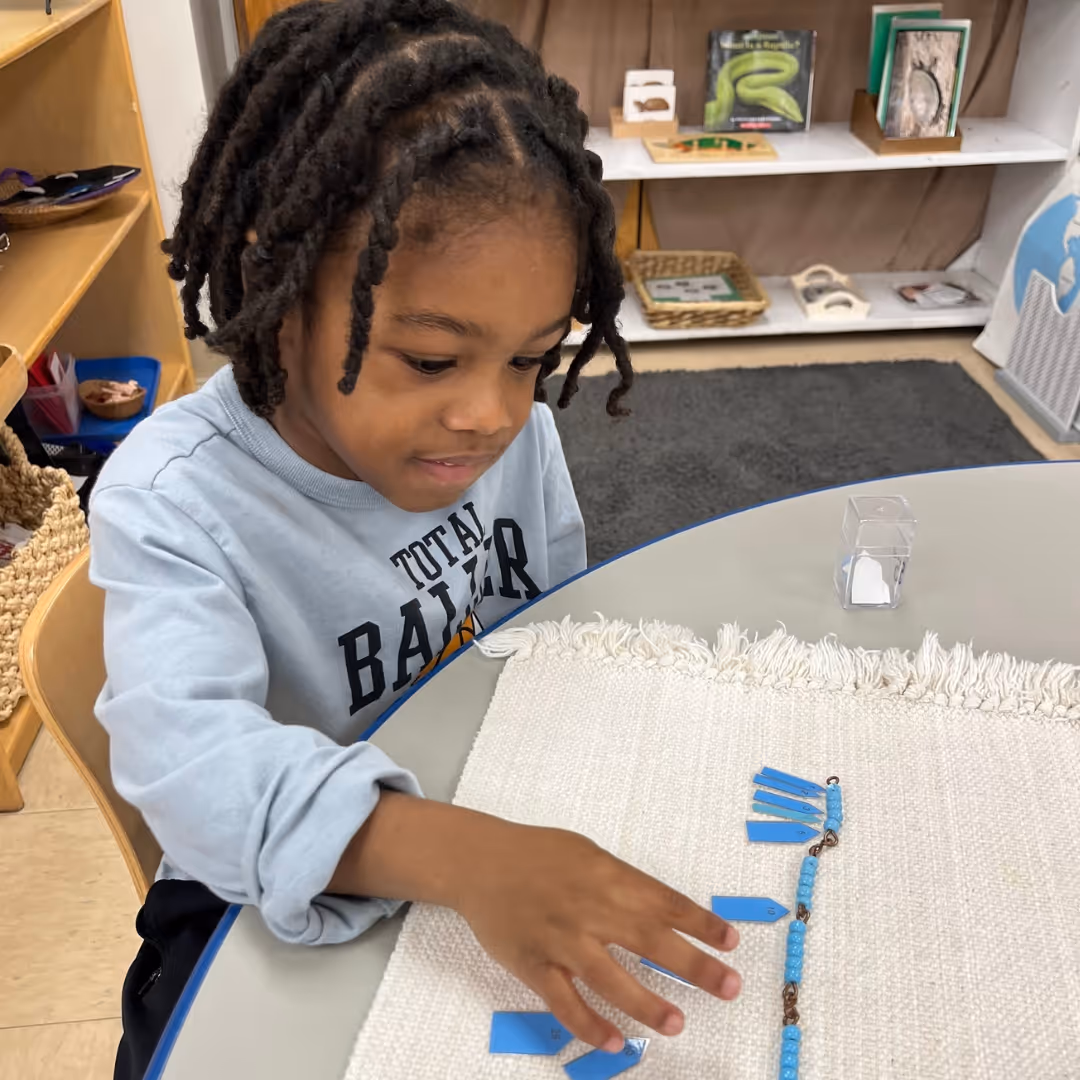 fox-valley-montessori-school-highlight-25