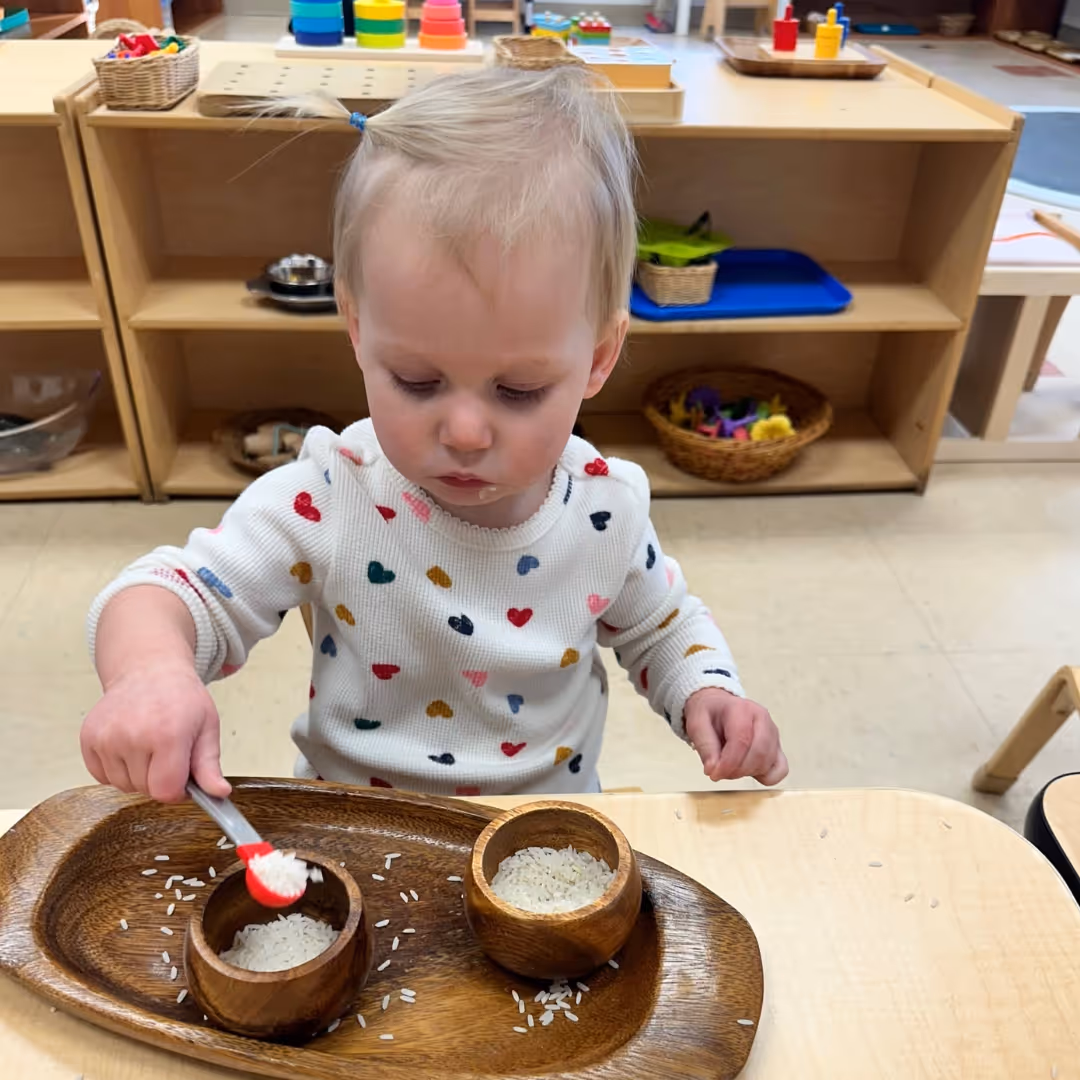 fox-valley-montessori-school-highlight-33