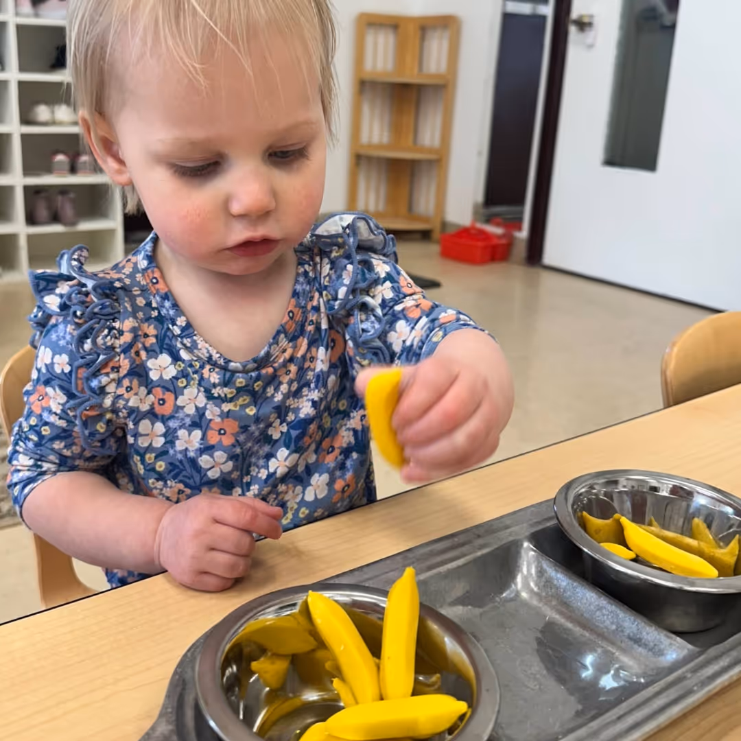 fox-valley-montessori-school-highlight-37