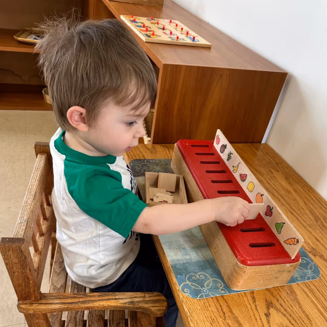 fox-valley-montessori-school-highlight-38