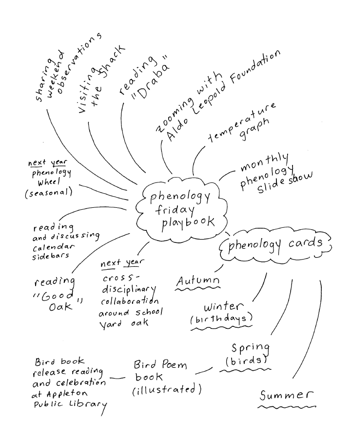 A diagram titled "Phenology Friday Playbook" showing different lesson plan activities throughout the year that connect to phenology, including reading essays by Aldo Leopold, having a monthly phenology slideshow, and making seasonal phenology cards.