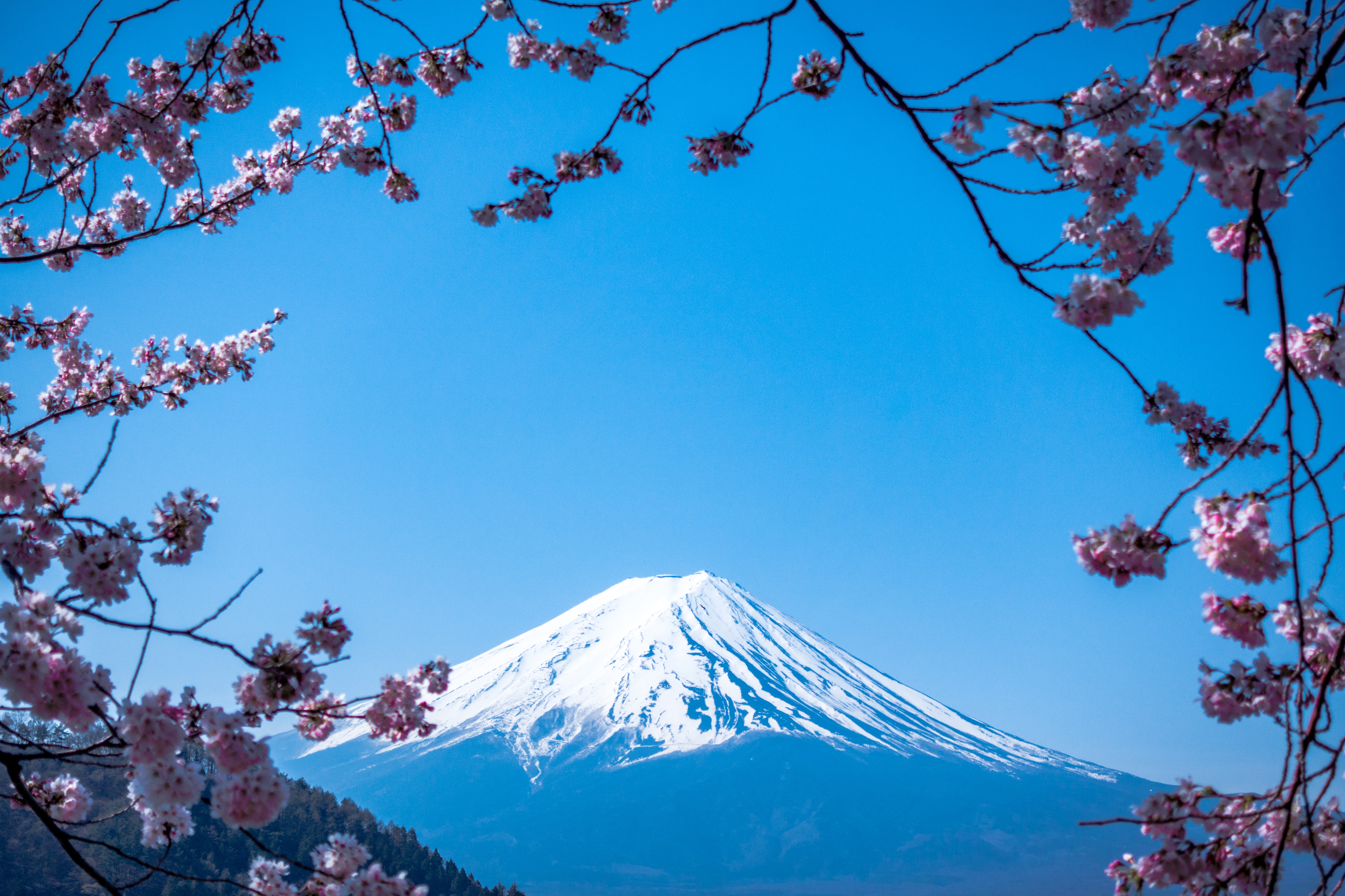 Image of Mount Fuji