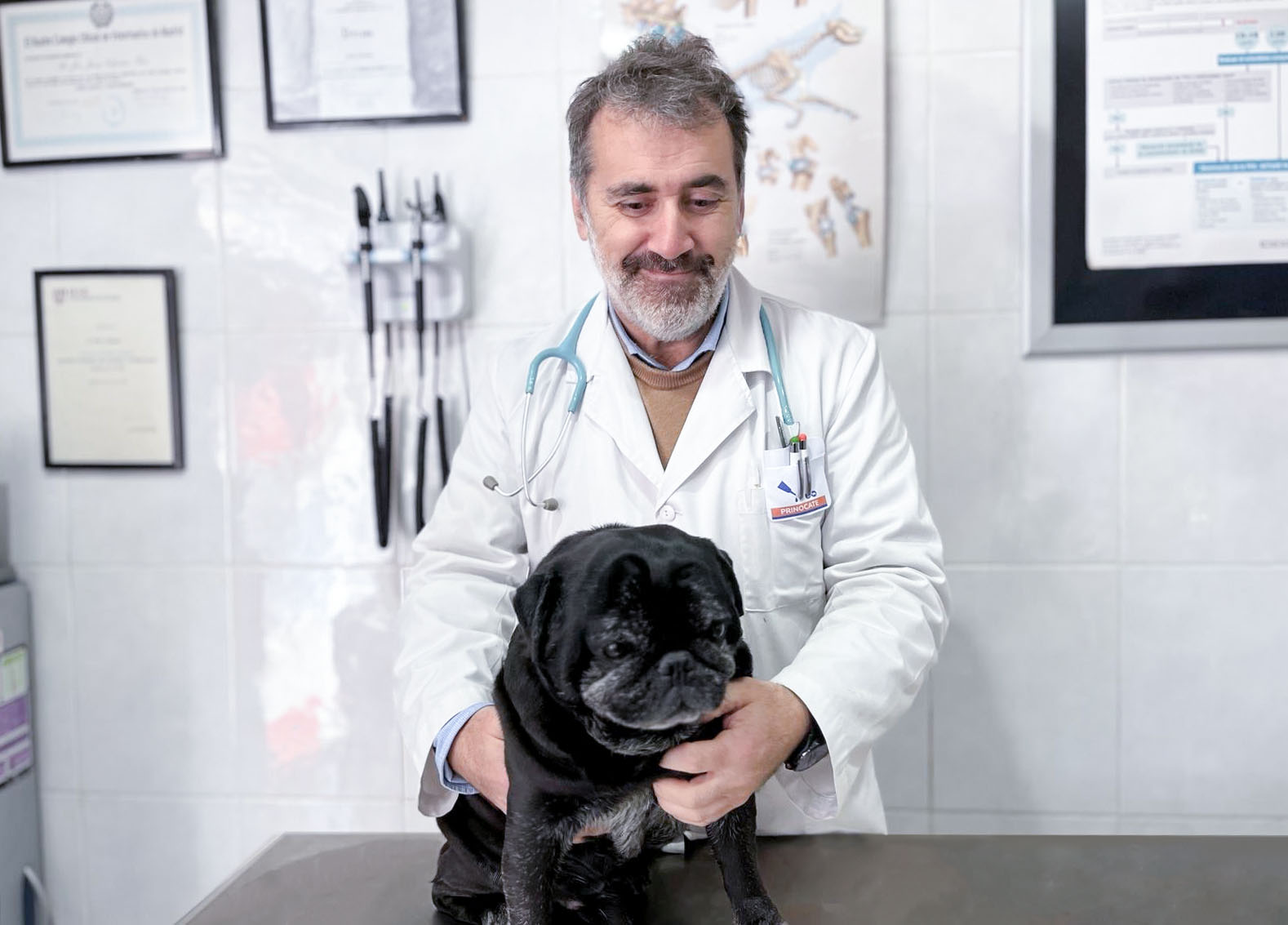 El veterinario Javier Cifuentes auscultando a un perro en consulta