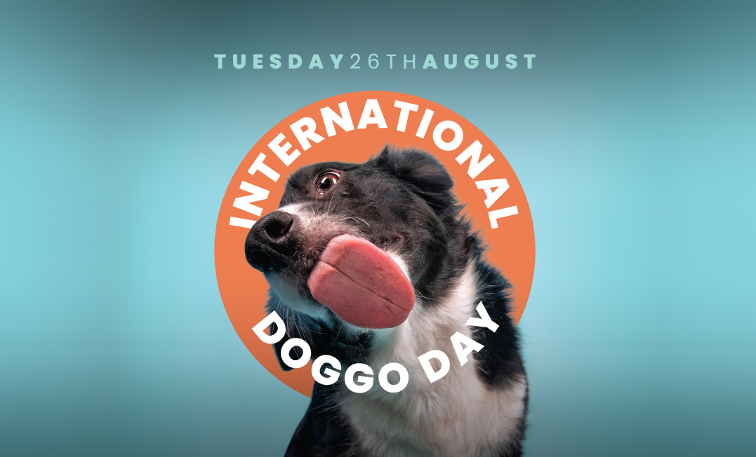 International Dog Day