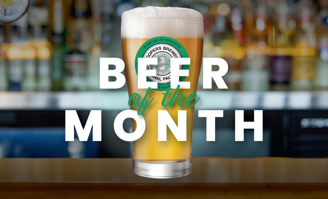 November Beer of the Month 