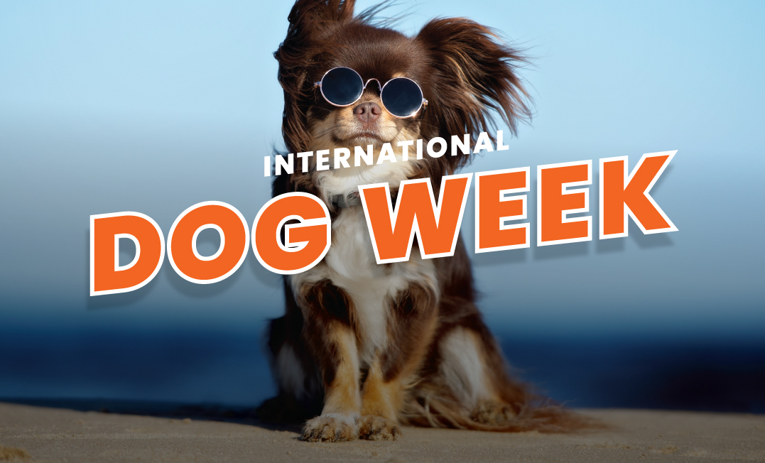 International Dog Week