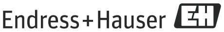 Endress+hauser