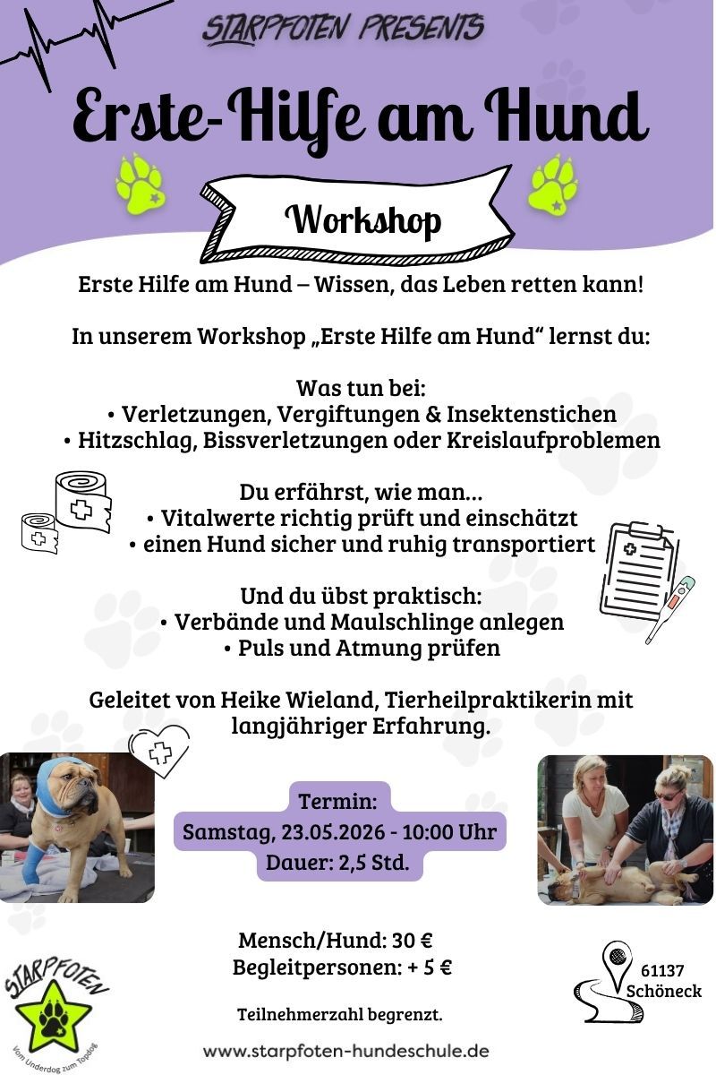 Social Walk Spring Special Samstag 31. Mai 2025