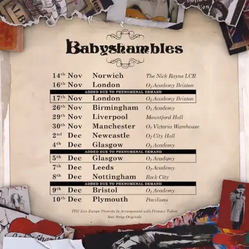 Babyshambles Down in Albion Tour