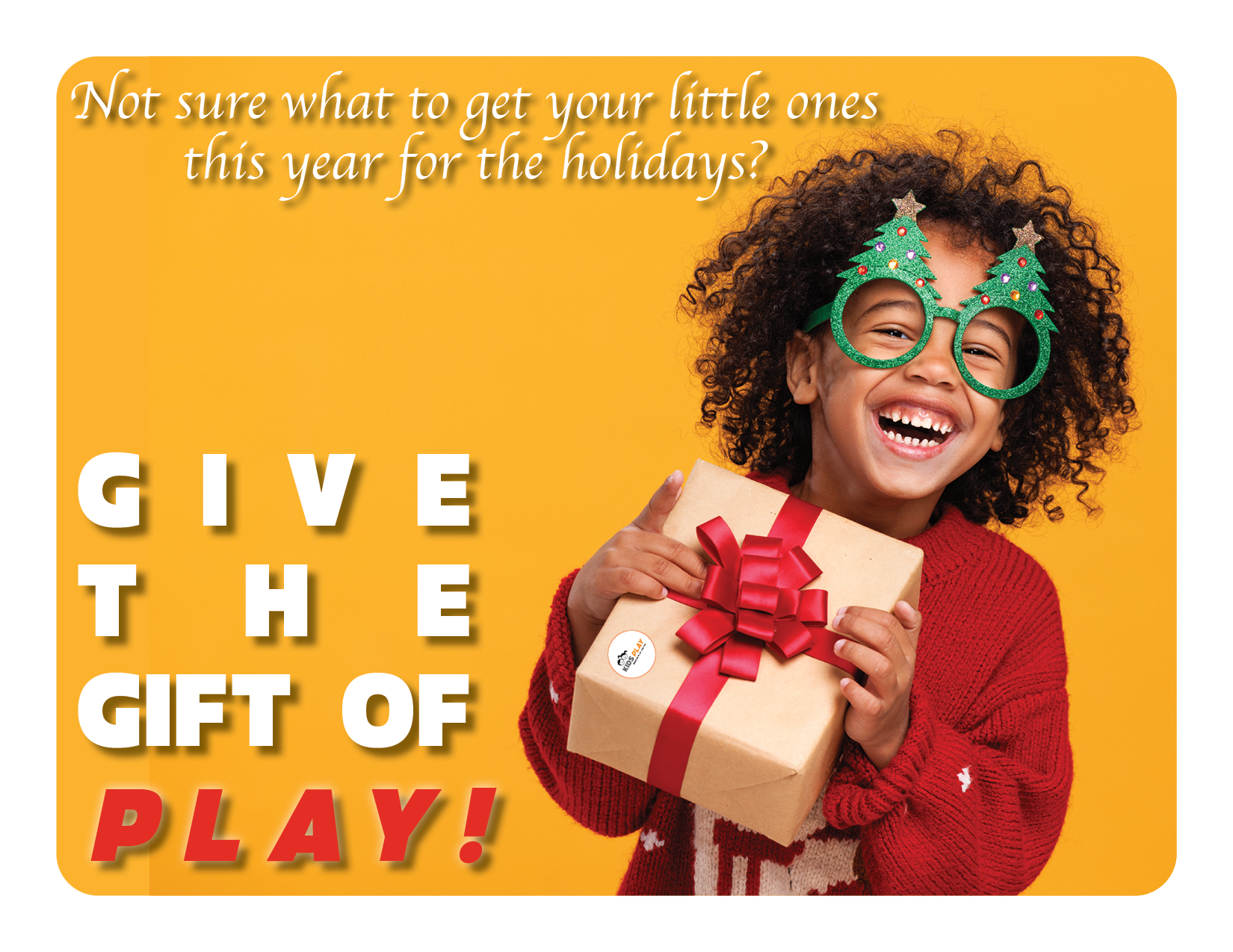 GIVE THE GIFT OF PLAY!