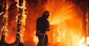 Wildfire Impacts Supply Chains ...