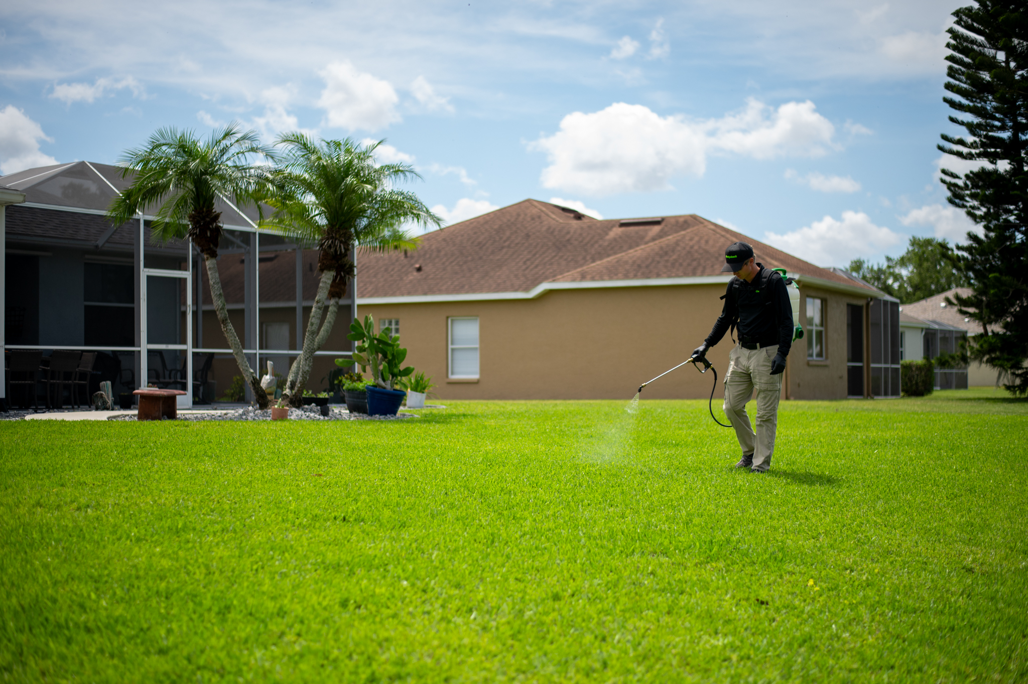 Weed-free lawn after Caddyshack weed control treatment in St. Petersburg Florida